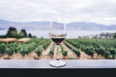 USDA-Grape-Acreag-Small Winegrowers Association