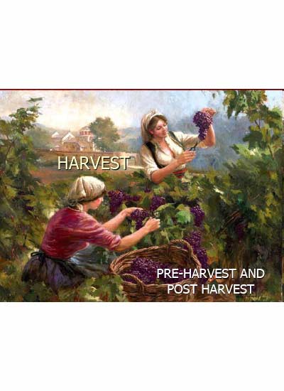 Pre-Harvest-and-Post-Harvest-August-2019