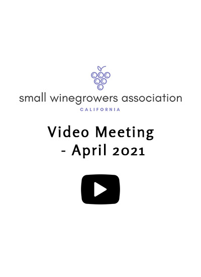 Video-Meeting-April-2021