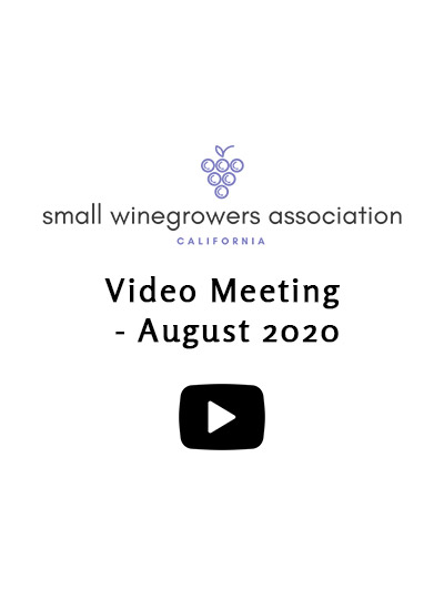 Video-Meeting-August-2020