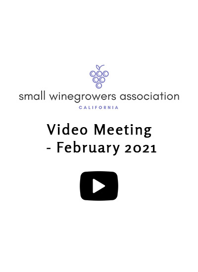 Video-Meeting-February-2021