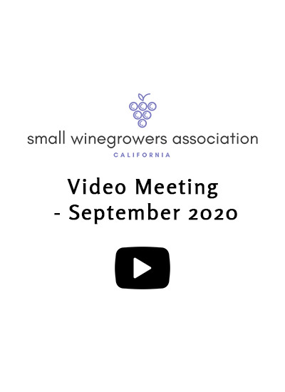Video-Meeting-September-2020