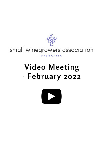 Video-Meeting-February-2022