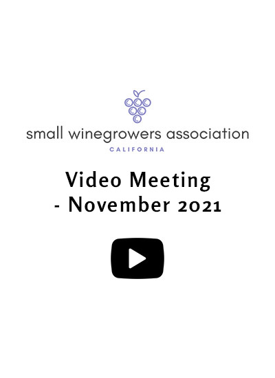 Video-Meeting-November-2021